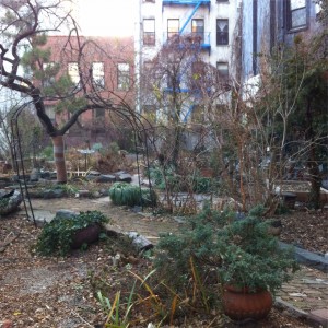 Jardin collectif, Alphabet City, New York. Crédit : MCG 2015.
