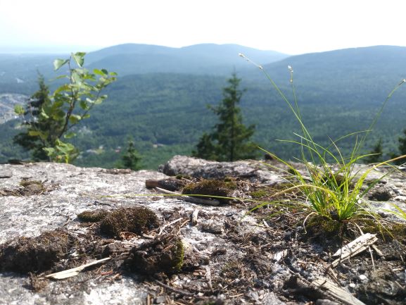 Belvédère de la montagne à Tremblay, sentier Le Montagnard, Sainte-Brigitte-de-Laval, Québec.