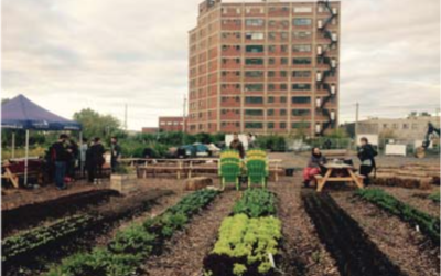 La communauté locale au coeur de la transition écologique: l’impact des initiatives climatiques locales et citoyennes à Montréal