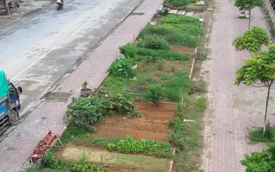 Raconte-moi un terrain – Interview avec Hien Pham – L’agriculture urbaine à Lào Cai (Vietnam)