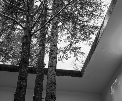 Les Jardins de Métis Crédits photo : Guillaume Ethier, 2021