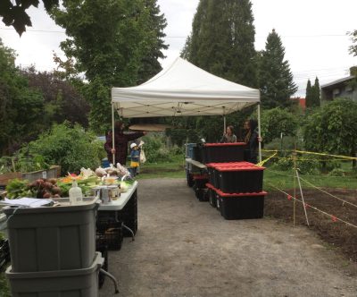 Dans un parc familial de ruelle, la livraison des paniers fermiers offre une sélection de produits à acheter en sus. Crédits photo : Axel Chiche